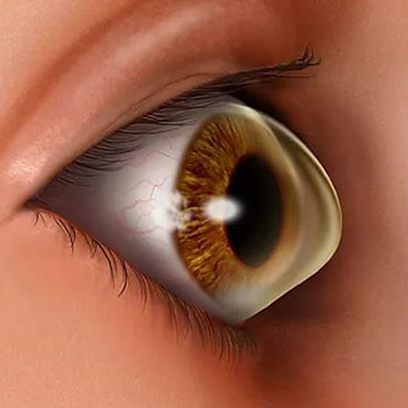 Specialized Treatment Modalities